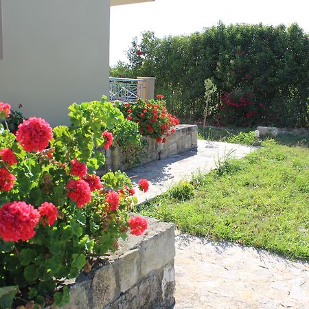 Aggelina S Apartments Ξι Εξωτερικό φωτογραφία