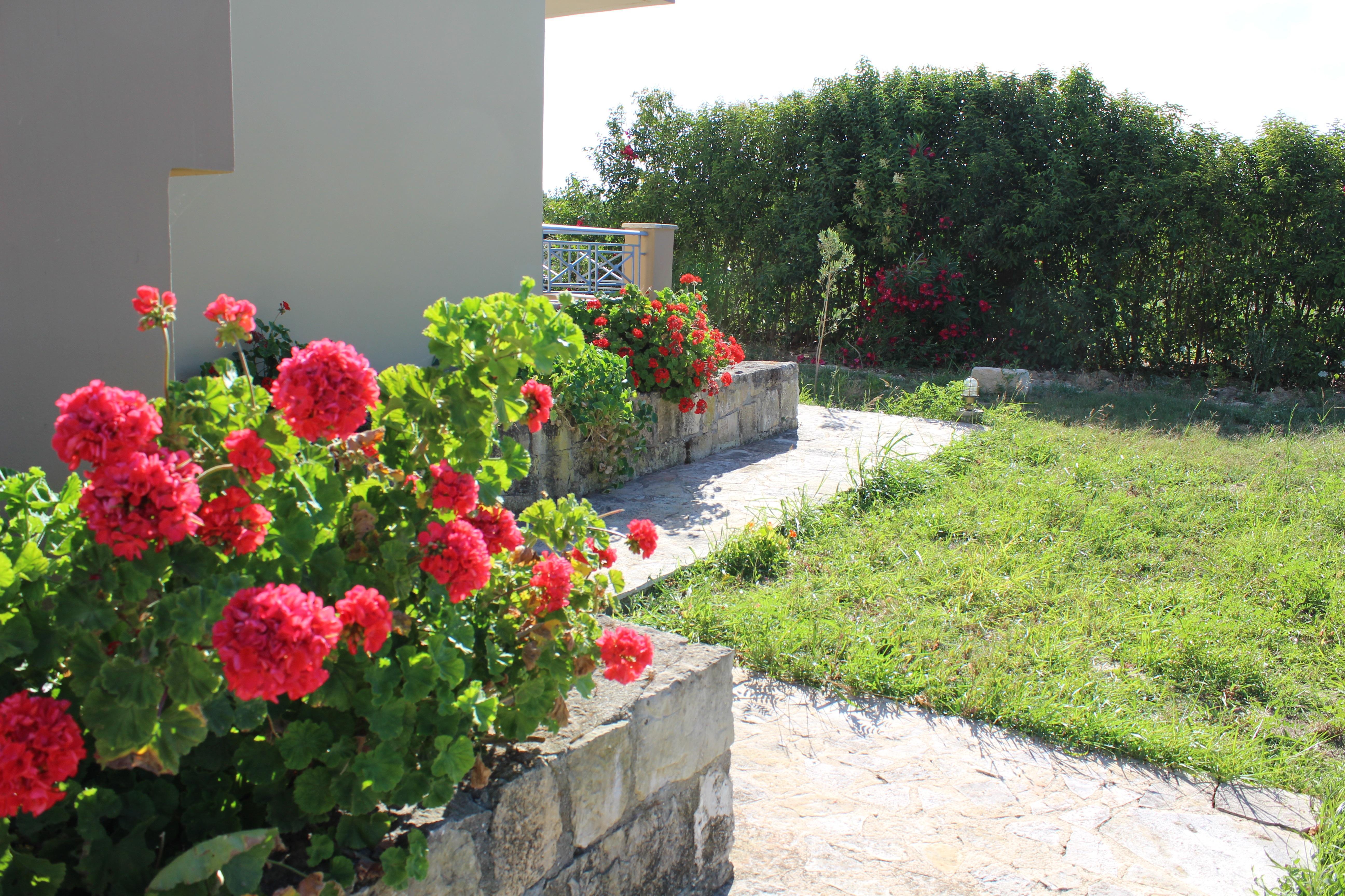 Aggelina S Apartments Ξι Εξωτερικό φωτογραφία